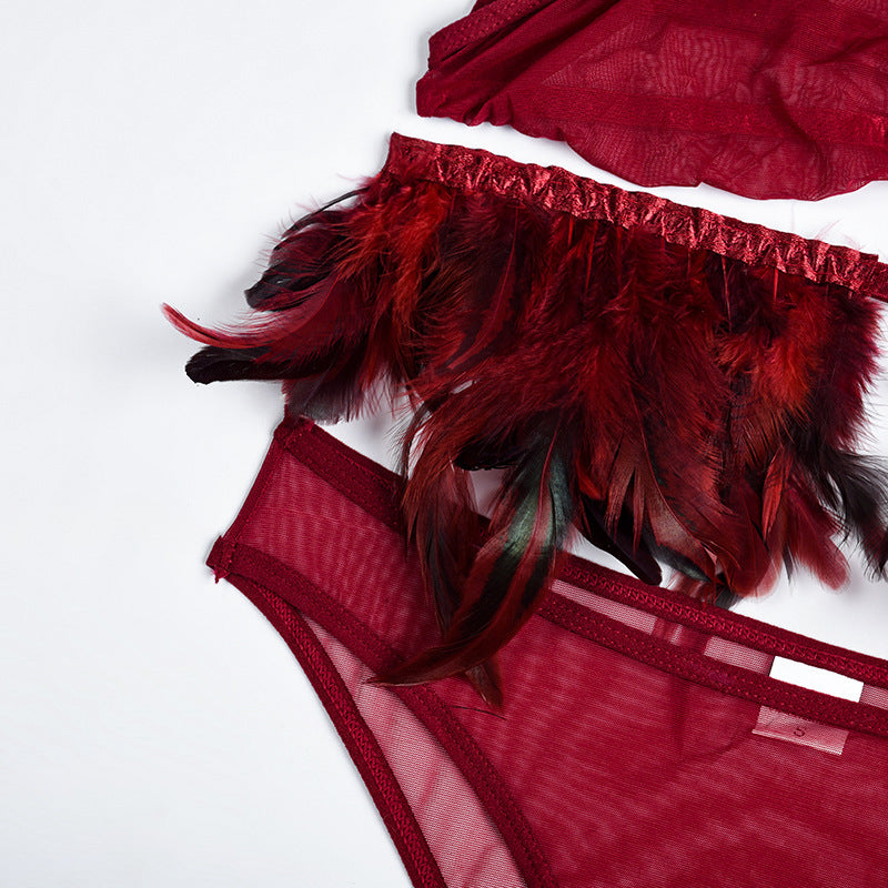 Fire Brick Sheer Mesh Bra and Panty Set with Feather-11